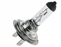 m-tech Halogén Izzó H1812V65W