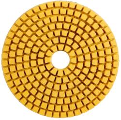 Distar Disc diamantat StandART pentru polisare uscata gresie portelanata, diam. 100mm gran. 120 -DiStar-910278018009 (DiStar-910278018009)