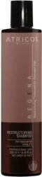  Șampon Profesional pentru Păr Deteriorat cu Fitokeratină Atricos Phytokeratin Shampoo, 250 ml