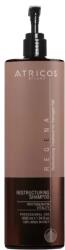  Șampon Profesional pentru Păr Deteriorat cu Fitokeratină Atricos Phytokeratin Shampoo, 1000 ml