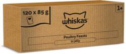 Whiskas 1+ Baromfi eledel felnőtt macskáknak aszpikban, 120 × 85 g