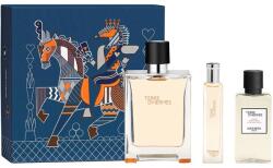 Hermès Terre D'Hermes Комплект (EDT 100ml + EDT 15ml + AS Lotion 40ml) за Мъже
