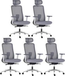 LTC 5PACK Ergonomikus irodai szék APOLLO szürke (5 db)
