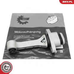 ESEN SKV Suport motor ESEN SKV 75SKV244 (75SKV244)