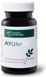 Amla Natur AYUfer Fier ayurvedic, 60 capsule, Amla Natur