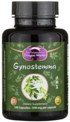 Dragon Herbs Gynostemma, 500 mg, 100 capsule, Dragon Herbs
