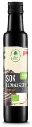 Dary Natury Suc bio de ridiche neagră, 250 ml, Dary Natury