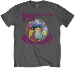 Jimi Hendrix Are You Experienced Grey XL Риза (<![CDATA[JHXTS19MG04]]>)