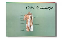 Pigna Caiet de biologie mare 29.5 x 20.5 cm, 24 file (AS000052)