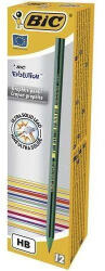 BIC Creion grafit BIC Evolution STRIPES 646, 12 buc/cutie (BC918487)