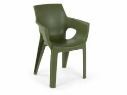  Scaun bucatarie pentru gradina HARTMAN IVY, verde