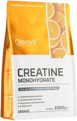 OstroVit Creatine Monohydrate Flavor, 1000 Grams