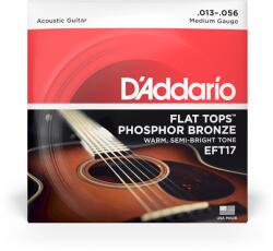 D Addario D'Addario EFT17 Flattop akusztikus húr 13-56