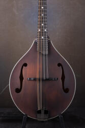 Eastman Guitars and mandolins Eastman MD305 mandolin puha tokkal