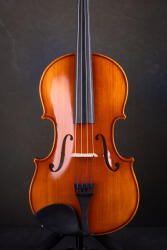 Eastman Guitars and mandolins Eastman VA150 15, 5" brácsa CA1311 tokkal és BL20 vonóval beállítva