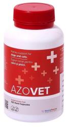 Mobile Pharma Azovet Suport Renal Caini Si Pisici 120 Capsule
