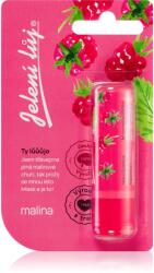 Regina Jelení lůj Raspberry ajakbalzsam málna illatú 4.5 g