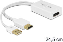 Delock 62496 HDMI-A male & gt; Displayport female + USB adapter