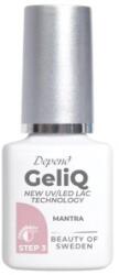 Depend Oja Gel Depend IQ UV/LED, Mantra, 5 ml (COR-COR1022075MF)