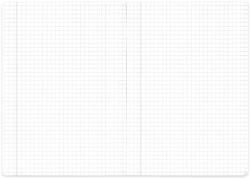 PAPERLAND Caiet A5, 100 file, PAPERLAND matematica