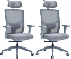 LTC 2PACK Ergonomikus irodai szék VICTORY ERGO szürke (2 db)