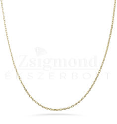  14 karátos arany Anker nyaklánc - 45 cm / 2 mm (AU14689) AU14689