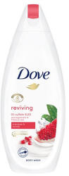 Dove Tusfürdő DOVE Silky velvet 450ml - robbitairodaszer