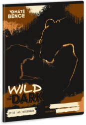 Ars Una Wild in the Dark tűzött füzet A/5, 32 lap kockás, Ars Una, oroszlánok (ARS-53635433) - mesescuccok