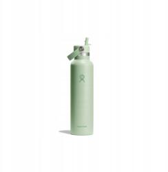 Hydro Flask Thermo palack Hydro Flask Standard Mouth Flex Straw Cap Tonal Agave, 62 (S21CFS374)