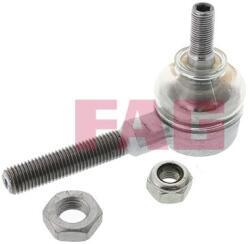 Fag Cap de bara FAG 840 0707 10 (840 0707 10)