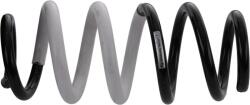 SACHS Arc spiral SACHS 994 831 (994 831) - fixbox