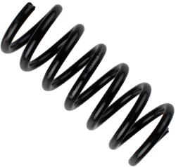 BILSTEIN Arc spiral BILSTEIN 36-316618 (36-316618)