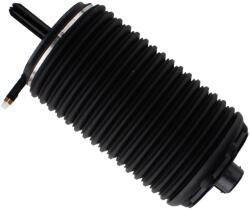 BILSTEIN Arc pneumatic, directie BILSTEIN 40-273778 (40-273778)