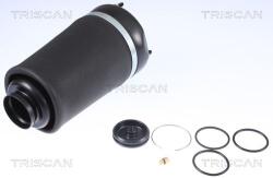 TRISCAN Arc pneumatic, directie TRISCAN 8720 23101 (8720 23101)