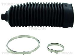 TRISCAN Ansamblu burduf, directie TRISCAN 8500 23008 (8500 23008)