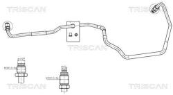 TRISCAN Furtun hidraulic, sistem de directie TRISCAN 8516 43007 (8516 43007)