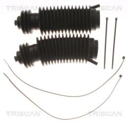 TRISCAN Ansamblu burduf, directie TRISCAN 8500 230P (8500 230P)