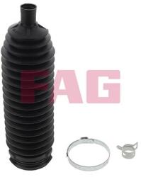 Fag Ansamblu burduf, directie FAG 841 0218 30 (841 0218 30)