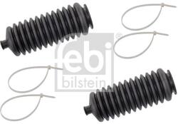Febi Bilstein Ansamblu burduf, directie FEBI BILSTEIN 103865 (103865)