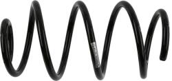 SACHS Arc spiral SACHS 991 148 (991 148) - fixbox