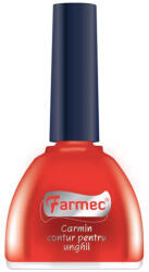 Farmec Carmin dezinfectant pentru unghii 11 ml, Farmec (5943000225903)