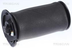 TRISCAN Arc pneumatic, directie TRISCAN 8720 11202 (8720 11202)