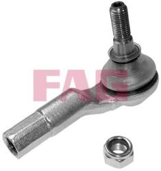 Fag Cap de bara FAG 840 1116 10 (840 1116 10)