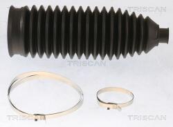 TRISCAN Ansamblu burduf, directie TRISCAN 8500 43011 (8500 43011)