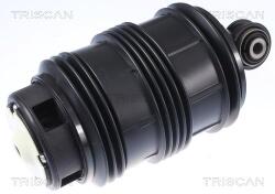 TRISCAN Arc pneumatic, directie TRISCAN 8720 23205 (8720 23205)