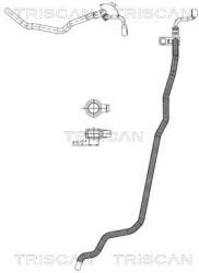 TRISCAN Furtun hidraulic, sistem de directie TRISCAN 8516 29089 (8516 29089)
