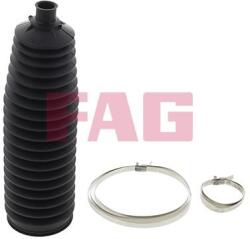 Fag Ansamblu burduf, directie FAG 841 0031 30 (841 0031 30)