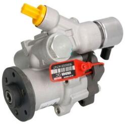 LAUBER Pompa hidraulica, sistem de directie LAUBER 55.9906 (55.9906)