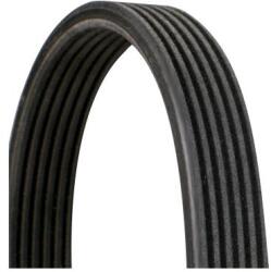 Continental Ctam Curea transmisie cu caneluri CONTINENTAL CTAM 6DPK2215 (6DPK2215) - fixbox