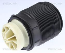 TRISCAN Arc pneumatic, directie TRISCAN 8720 23201 (8720 23201)